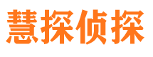 镇沅市私家侦探